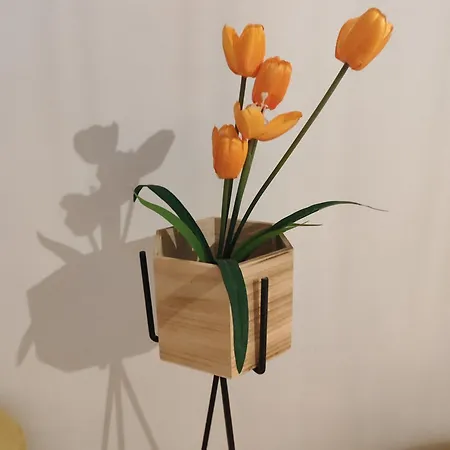 아파트 δροσιά *