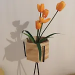 Apartment δροσιά *